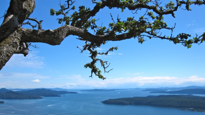 Top of Mt Galiano - View of Active Pass