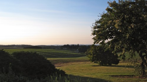Faith's family farm - Salem, Oregon