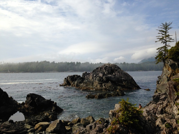 Maquinna Provincial Park and Hot Springs&nbsp;Cove!