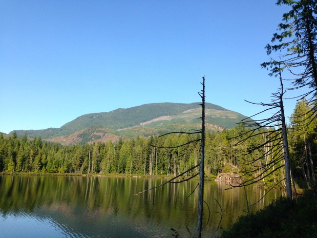 Nature’s Treadmill: Skookumchuck&nbsp;Narrows