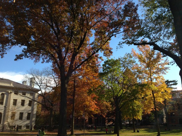 Campus Tour of Harvard&nbsp;University