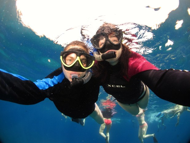 Snorkeling at Molokini Crater & Turtle&nbsp;Town