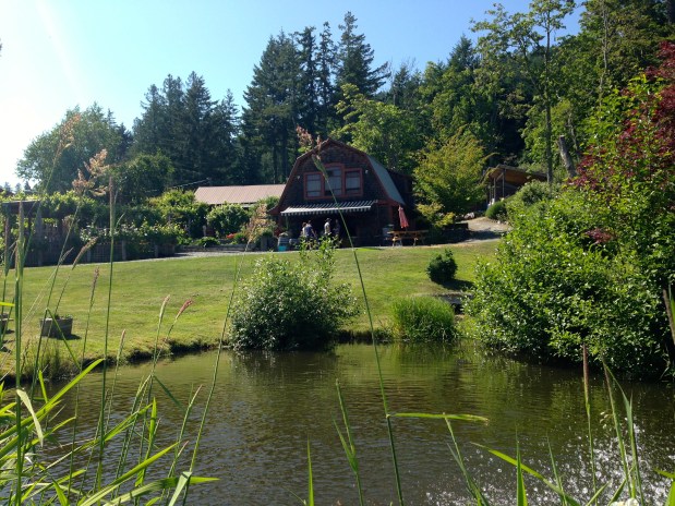 Salt Spring Vineyards: A Taste of Island&nbsp;Living