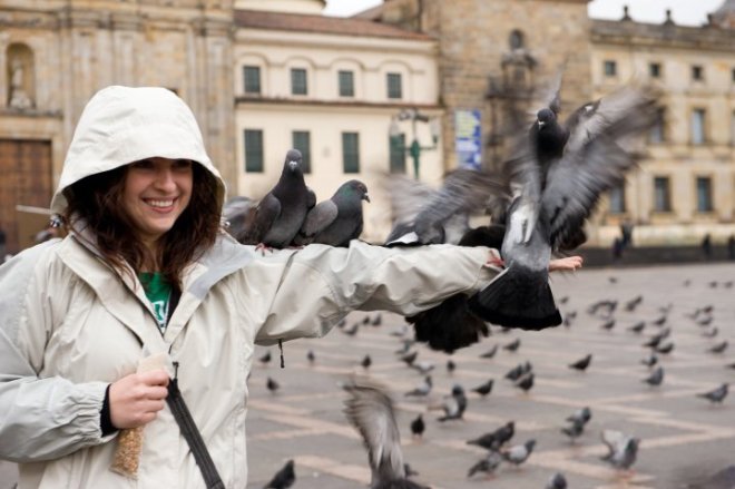 36412_443512645259_7500830_n