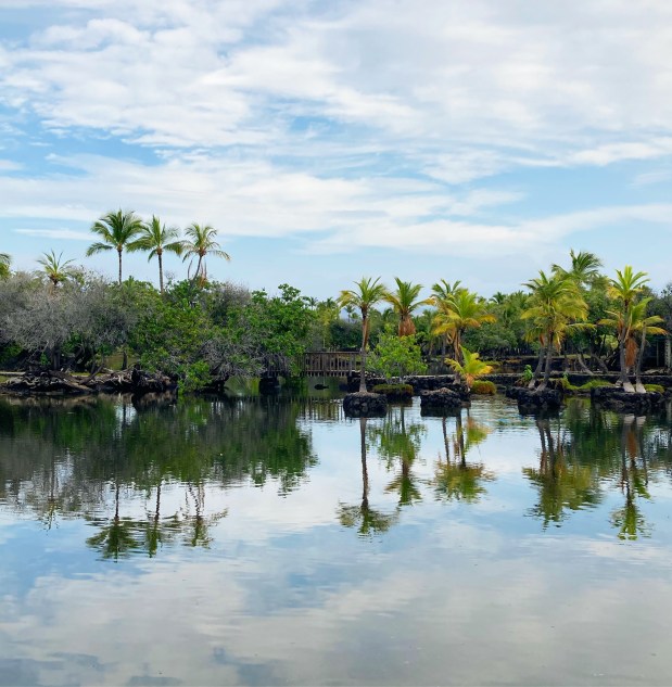 2021: A Year in&nbsp;Review